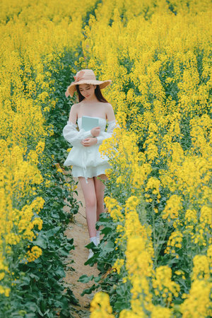 星河战队3虫族之王完整