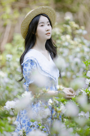 美女全身全免费视频网站