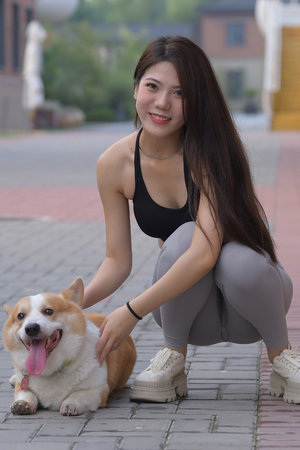 伊人网在线视频观看