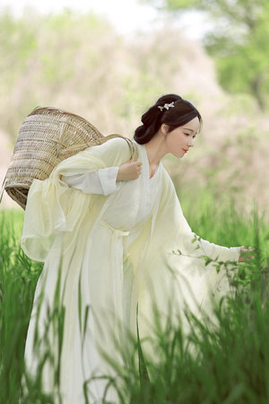 福利一区福利二区