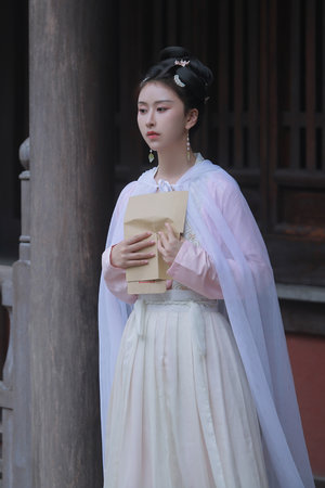 精武门电视剧全集