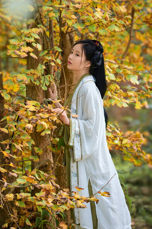 帕克电影在线中文版