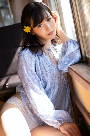 高清电视剧网站入口