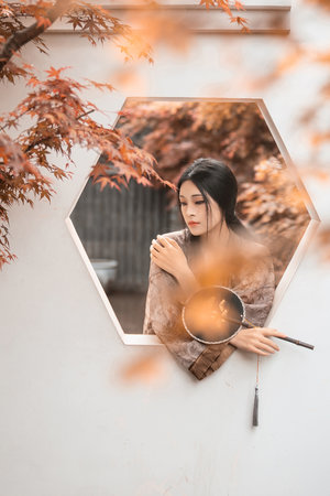 海棠免费网络小说阅读网