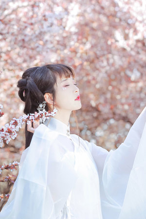 91免费视频下载免费