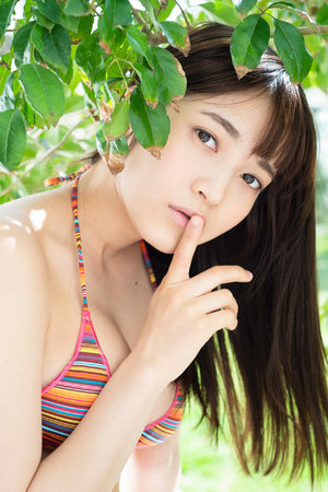 三宫六院七十二妃ii